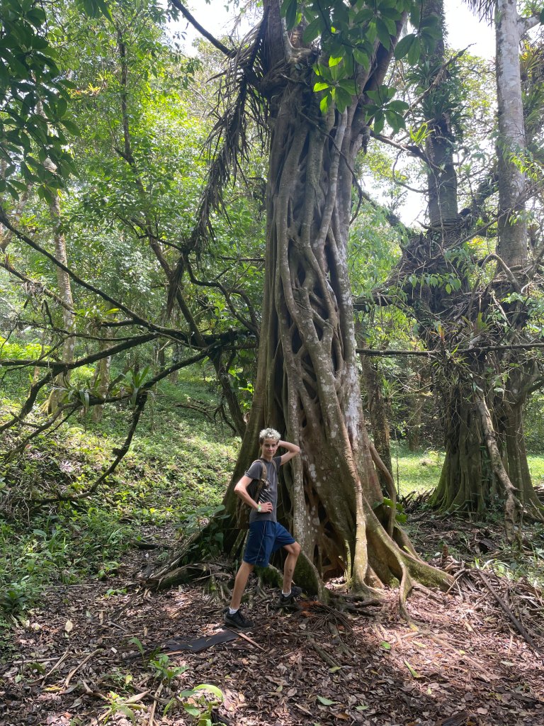 Hiking La India Dormida in Anton Valley Panama