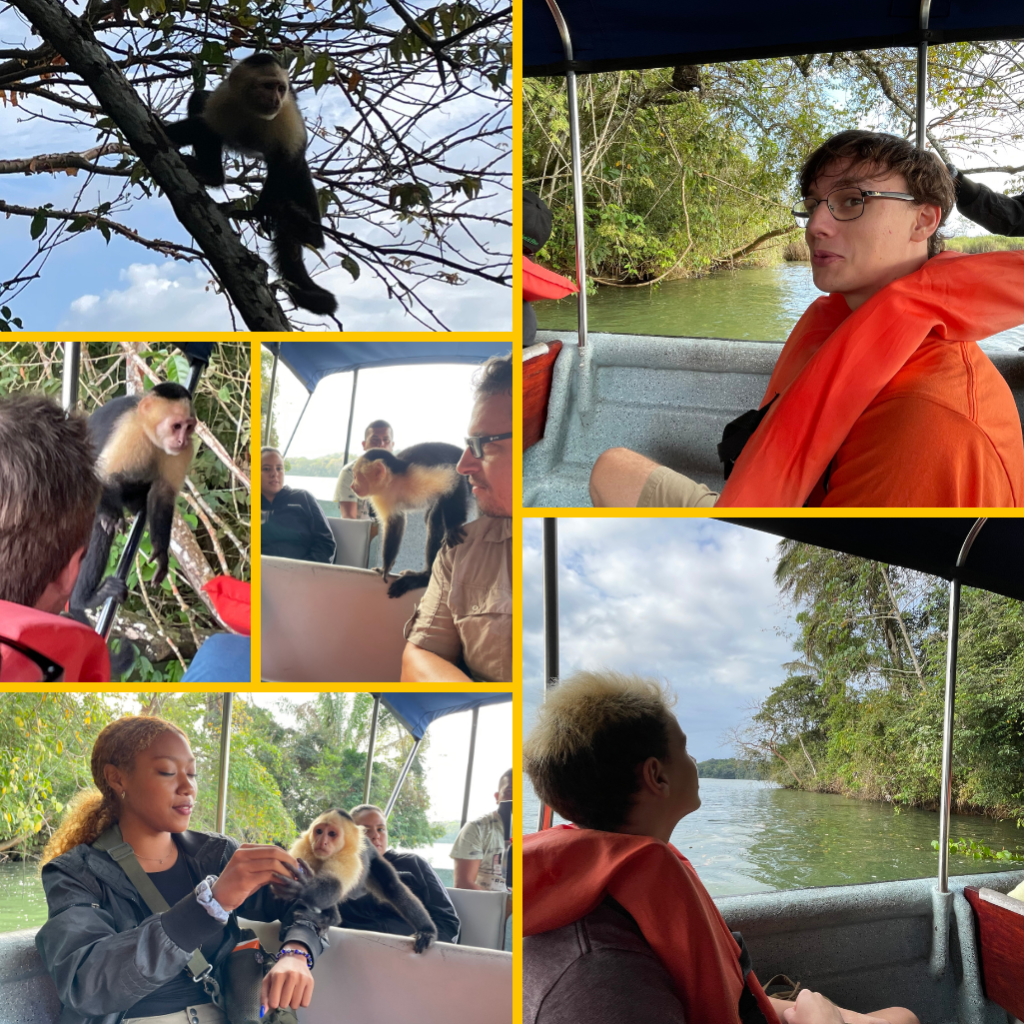 Pictures of monkey island panama with monkeys eating from our hands