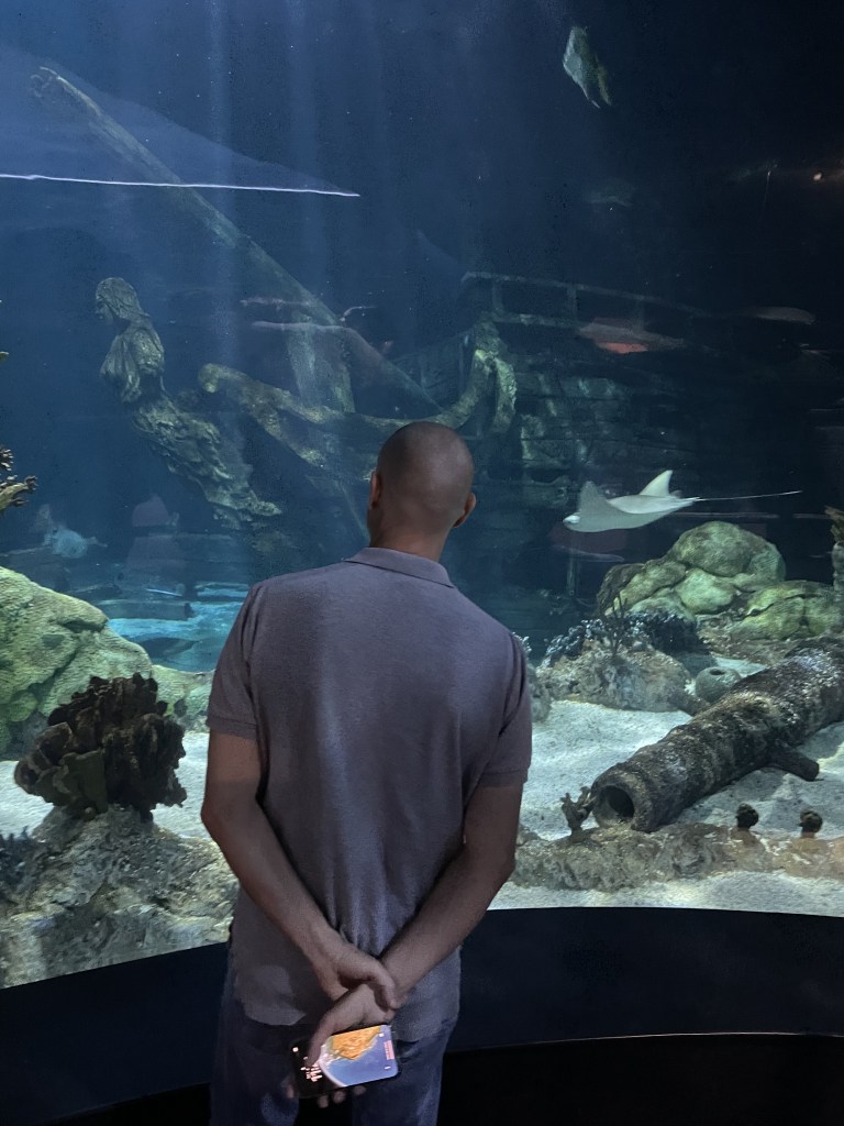Observing at the Aquarium Pyramid at Moody Gardens in Galveston Texas