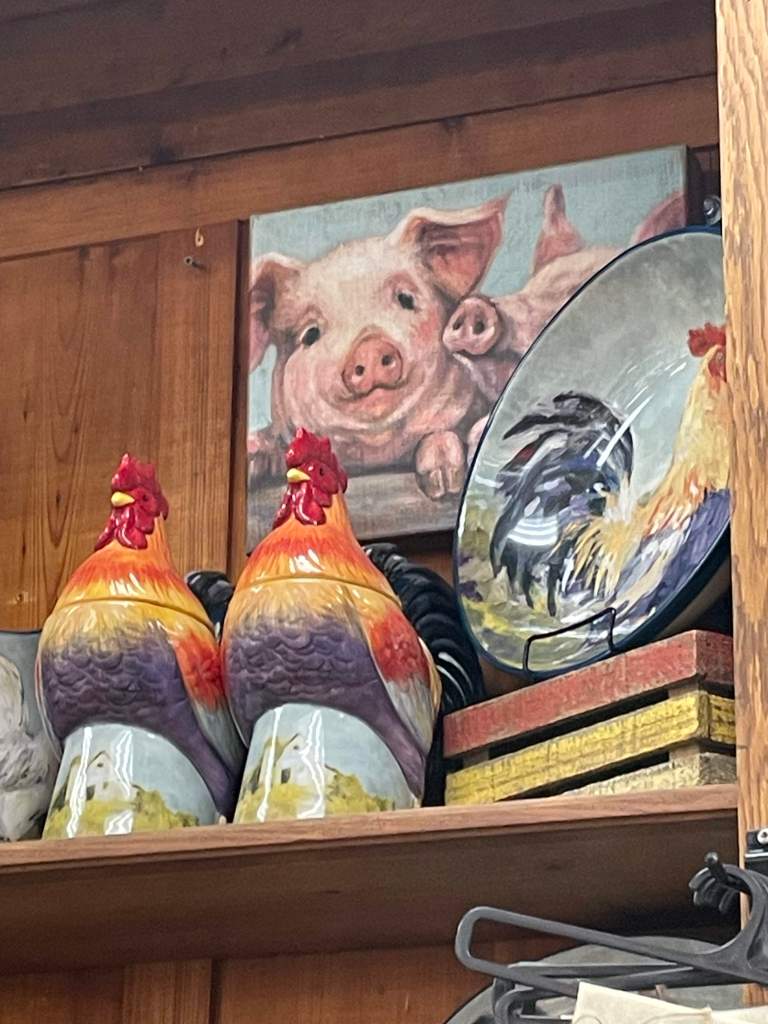 pig picture at Bucc-ee's