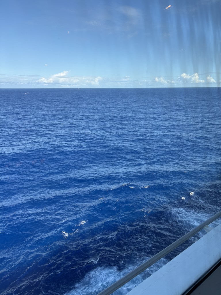 the Royal Caribbean cruise freedom of the seas