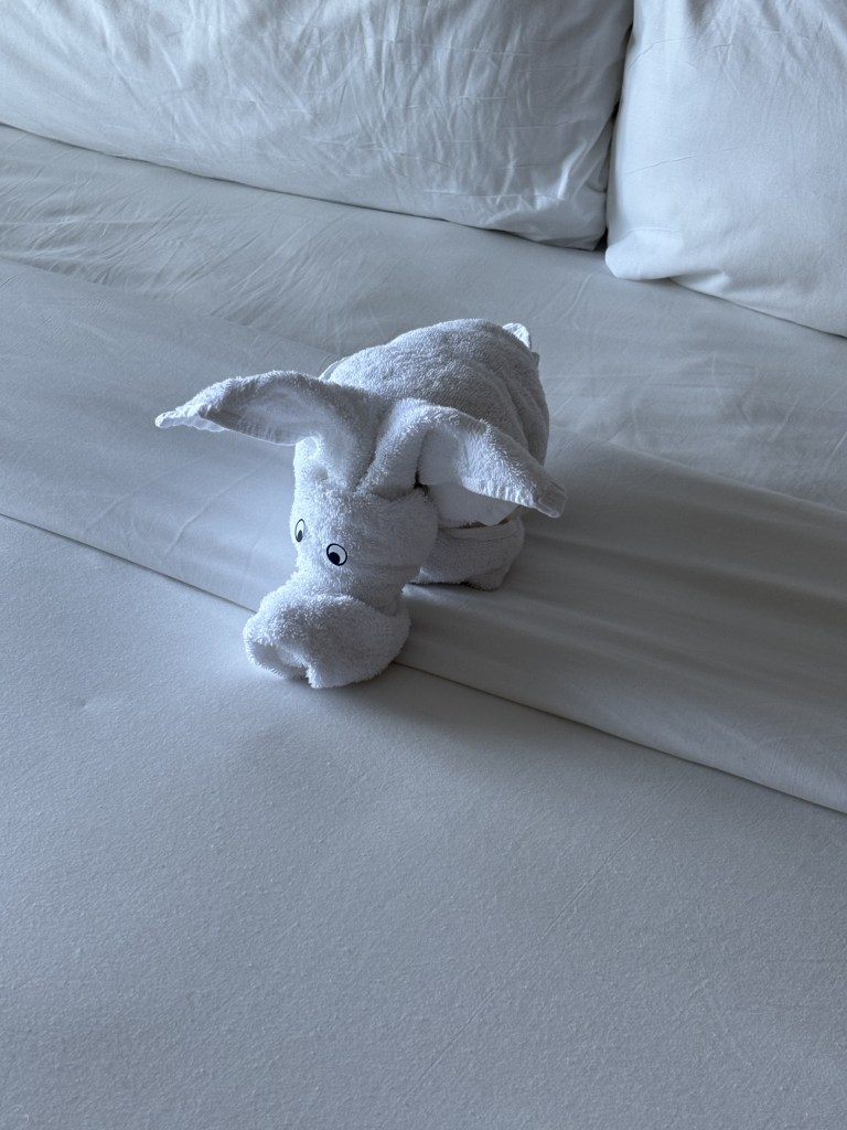 Room view and towel art on Royal Caribbean